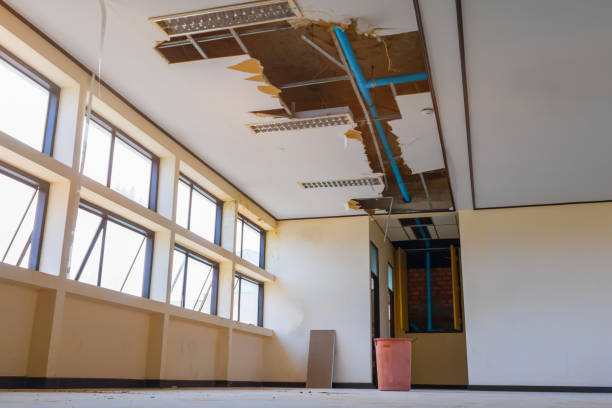 Best Basement water damage restoration  in Fairview, MT