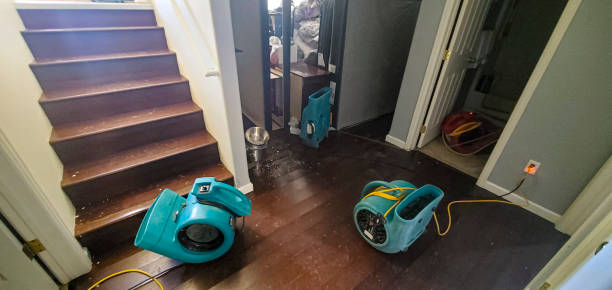 Best Water damage contractors near me  in Fairview, MT
