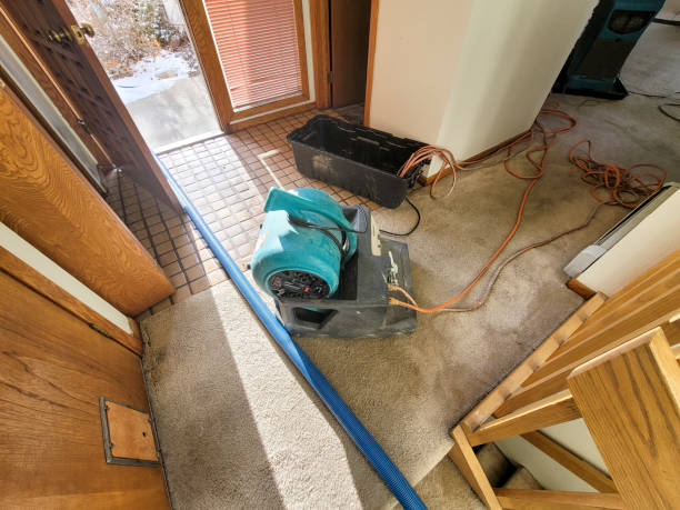 Best Sewage cleanup and water damage restoration  in Fairview, MT