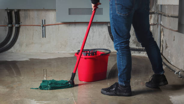 Best Carpet water damage restoration  in Fairview, MT