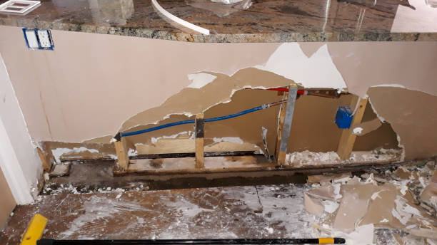 Best Flood damage cleanup  in Fairview, MT