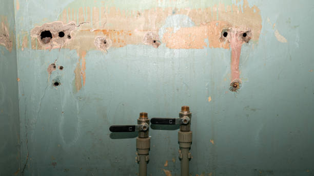 Best Carpet water damage restoration  in Fairview, MT