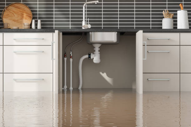 Best Flooded house restoration  in Fairview, MT