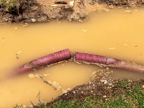 Best Local water damage restoration  in Fairview, MT