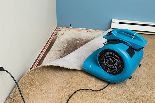  Fairview, MT Water damage restoration Pros